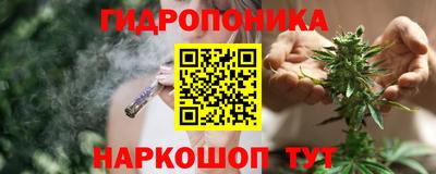 метадон Сланцы