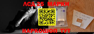 apvp Славгород